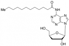 N6-Lauroyl Cordycepin