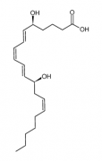 12-epi Leukotriene B4