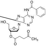 3'-O-Levulinoyl-N-benzoyl-2'-deoxyadenosine