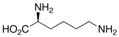 L-Lysine