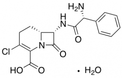 Loracarbef Monohydrate