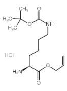 H-L-Lys(Boc)-OAll hydrochloride