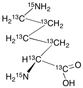 L-Lysine-13C6,15N2 Hydrochloride