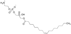 Lysophosphatidylethanolamine