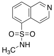 N-methylisoquinoline-5-sulfonamide