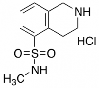 N-Methyl-1,2,3,4-tetrahydroisoquinoline-5-sulfonamide Hydrochloride