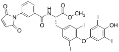 m-Maleimidobenzoyl-L-thyroxine Methyl Ester