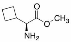 (S)-Methyl 2-Amino-2-cyclobutylacetate