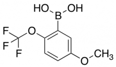 5-Methoxy-2-(trifluoromethoxy)phenylboronic Acid