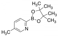 (5-Methylpyridin-2-yl)boronic Acid Pinacol Ester