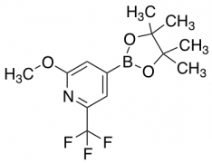 2-Methoxy-6-trifluoromethylpyridine-4-boronic Acid Pinacol Ester