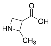 2-Methyl-3-azetidinecarboxylic Acid