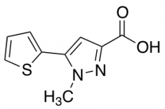1-Methyl-5-(thien-2-yl)-1H-pyrazole-3-carboxylic Acid