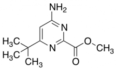 Methyl 4-Amino-6-tert-butylpyrimidine-2-carboxylate