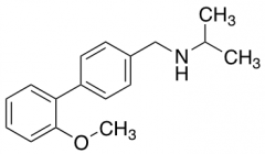 {[4-(2-Methoxyphenyl)phenyl]methyl}(propan-2-yl)amine