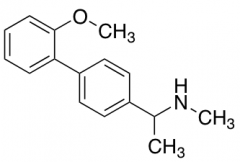 {1-[4-(2-Methoxyphenyl)phenyl]ethyl}(methyl)amine