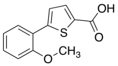 5-(2-Methoxyphenyl)thiophene-2-carboxylic Acid