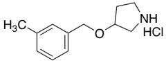 3-[(3-Methylbenzyl)oxy]pyrrolidine Hydrochloride