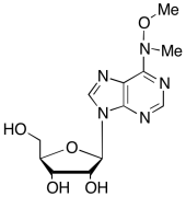 N-Methoxy-N-methyl-adenosine