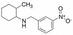 (2-Methylcyclohexyl)(3-nitrobenzyl)amine