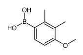 4-Methoxy-2,3-dimethylphenylboronic acid