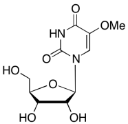 5-Methoxyuridine