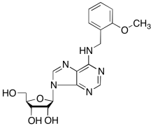 ortho-Methoxytopolin Riboside