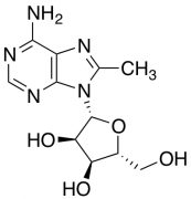 8-Methyladenosine