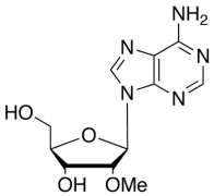 2'-O-Methyl Adenosine