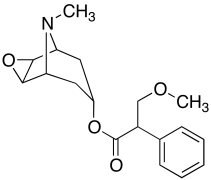 O-Methylscopolamine