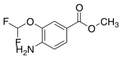 Methyl 4-Amino-3-(difluoromethoxy)benzoate