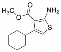 Methyl 2-Amino-4-cyclohexylthiophene-3-carboxylate