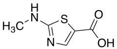 2-(methylamino)-1,3-thiazole-5-carboxylic acid