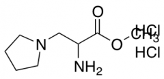 methyl 2-amino-3-(pyrrolidin-1-yl)propanoate dihydrochloride