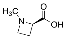 (R)-1-Methylazetidine-2-carboxylic acid