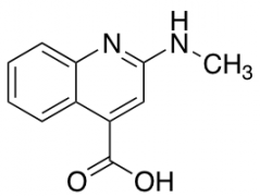 2-(methylamino)quinoline-4-carboxylic Acid