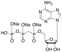 &alpha;,&beta;-Methyleneadenosine 5&rsquo;-Triphosphate Trisodium Salt