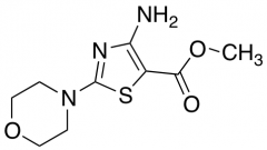 Methyl 4-Amino-2-(morpholin-4-yl)-1,3-thiazole-5-carboxylate