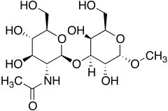 Methyl 3-O-[2-(acetylamino)-2-deoxy-&beta;-D-glucopyranosyl]-&alpha;-D-galactopyra