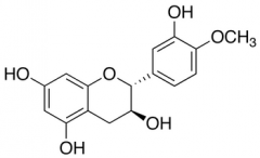 4'-O-Methylcatechin