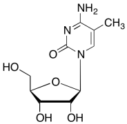 5-Methylcytidine