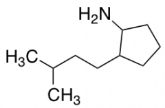 2-(3-methylbutyl)cyclopentan-1-amine