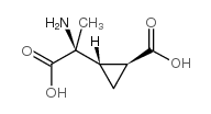 (2S,3S,4S)-2-Methyl-2-(carboxycyclopropyl)glycine