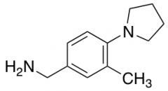 1-[3-Methyl-4-(1-pyrrolidinyl)phenyl]methanamine