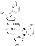 2'-O-Methyl-P-thiouridylyl-(3'&rarr;5')-2'-deoxyadenosine