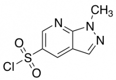 1-methyl-1H-pyrazolo[3,4-b]pyridine-5-sulfonyl chloride