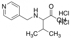 3-methyl-2-[(pyridin-4-ylmethyl)amino]butanoic acid dihydrochloride