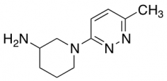 1-(6-methylpyridazin-3-yl)piperidin-3-amine