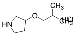 3-(2-methylpropoxy)pyrrolidine hydrochloride