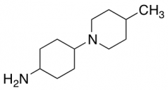 4-(4-methylpiperidin-1-yl)cyclohexan-1-amine